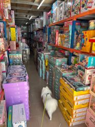 -恒日玩具批发(幸福小苑店)