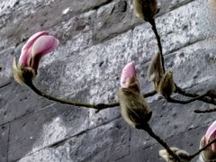 -东华门大街小区