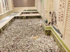 -水王国温泉水世界