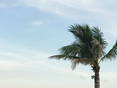 -太平洋咖啡(海天驿站店)