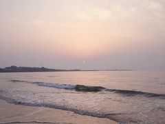 -日照海滨国家森林公园