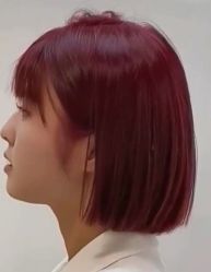 -YESIDO椰岛造型