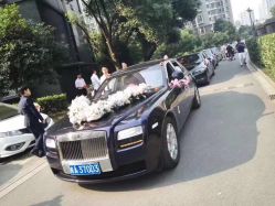 -蚂蚁婚车