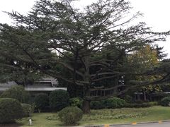 -西郊宾馆·1921餐厅