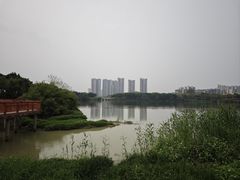 -广东花都湖国家湿地公园