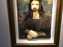 -成都泰迪熊博物馆