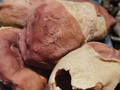 -辛杨和·大耳朵驴肉馆(银川总店)