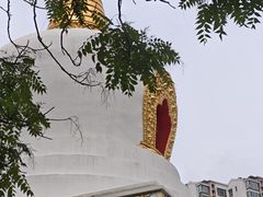 -护国法轮寺