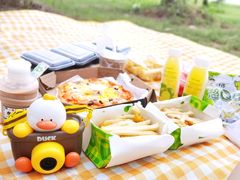 -上海海湾国家森林公园