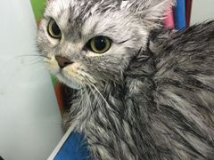 -宠颐生中康贝怡动物医院
