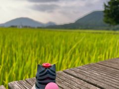 -风云岭森林公园