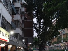 -化州肥仔大排档(建安二路店)