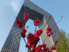 -中央广播电视总台(光华路办公区)