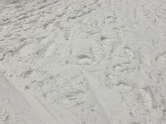 -广州热雪奇迹