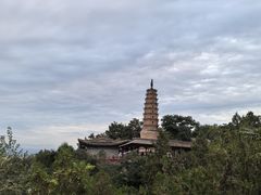 -白塔山公园