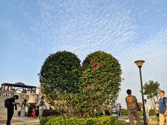 -东莞植物园