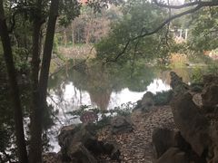 -叶家花园
