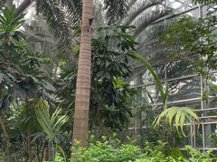 -南山植物园