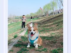 -洨河生态公园