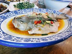 -老马家·舌尖上的西塘美食