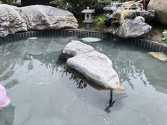 -威海天沐度假区温泉