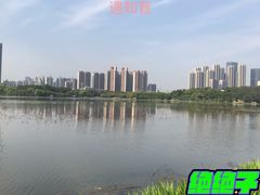 -月湖风景区