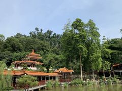 -深圳仙湖植物园