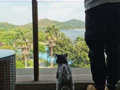 -宁波九龙湖开元度假村