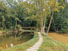 -桤木河湿地公园