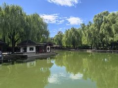 -团结湖公园
