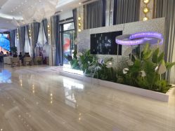 -深圳美莱医疗美容医院