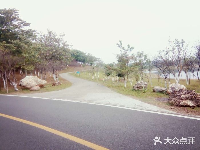 松山湖南湖湾露营营地图片