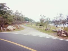 -松山湖南湖湾露营营地