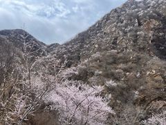 -潭柘寺景区