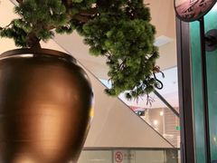 -新白鹿餐厅(金鹰新街口店)