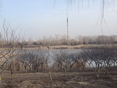 -永定河休闲森林公园