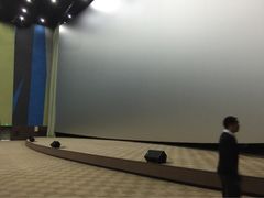 天幕新彩云国际影城-天幕新彩云国际影城(激光巨幕店)