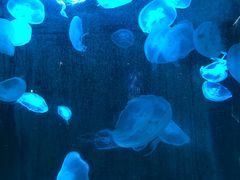-南昌融创海世界