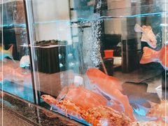 -海都六福酒家(世博广场店)