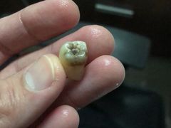 -广州市海珠区口腔医院