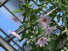 -北京植物园-展览温室