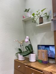-雅梵伊容·护肤·造型
