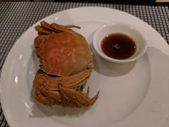 -广州万富希尔顿酒店·感趣自助餐厅·金秋蟹宴生蚝海鲜刺身