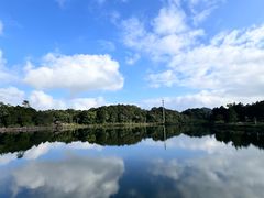 -海南热带雨林国家公园吊罗山景区