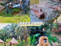 -海南热带野生动植物园