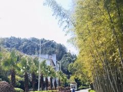 -明月山天沐温泉度假村