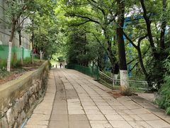 -昆明动物园