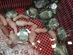 -西归浦每天偶来市场