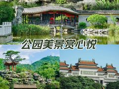 -顺峰山公园