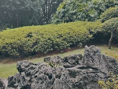 -柳侯公园